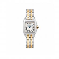 Santos de Cartier Demoiselle 20MM W25066Z6 18K/ Steel Watch